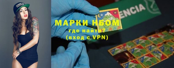 шишки Абинск