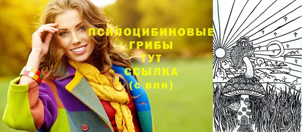apvp Алексин