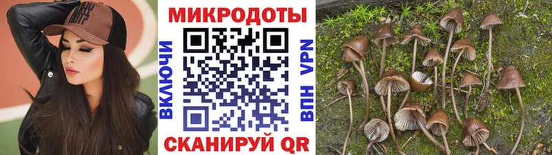 Галлюциногенные грибы GOLDEN TEACHER  где купить   Карасук 